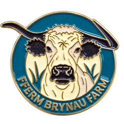 Custom Soft Enamel Pin Badges 15