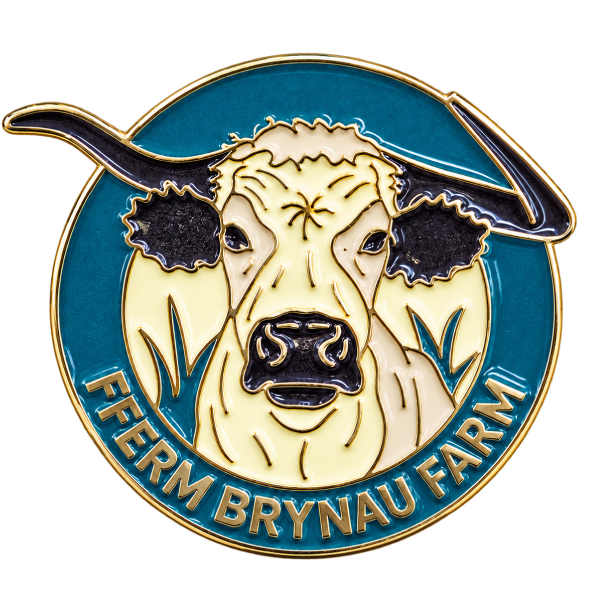 Custom Soft Enamel Pin Badges 12