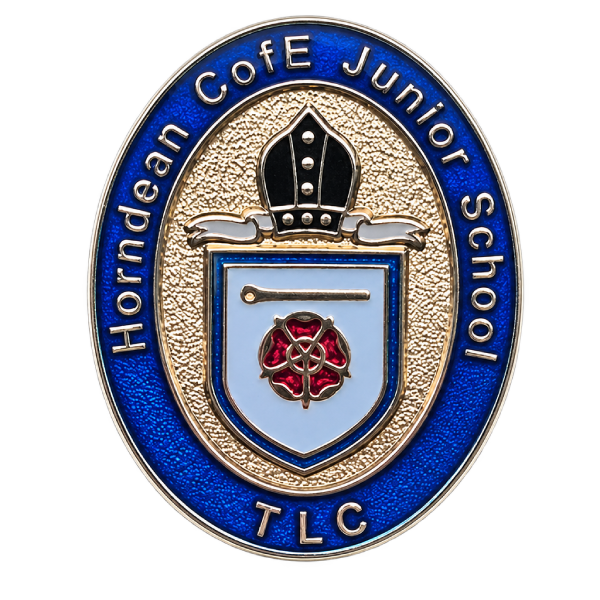 Custom School Badges 45