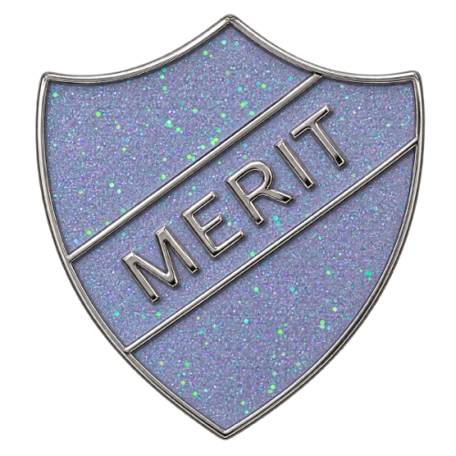 Custom School Badges 15