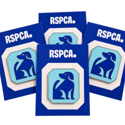 Custom Soft Enamel Pin Badges 15