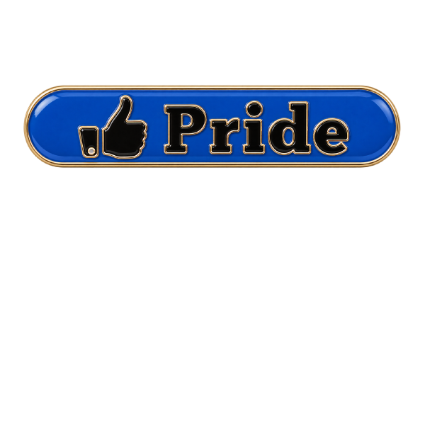 Custom School Badges 51