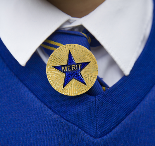 Custom School Badges