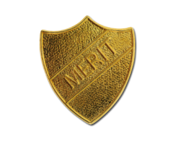 Custom Sports Club Badges