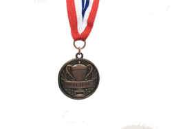 Sports Day Well Done Medal 6