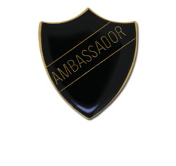 Ambassador Enamelled Shield Badge 24