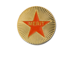 Enamelled Merit Round Badge 22