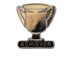 Achiever Trophies - Silver Trophy Badge 24