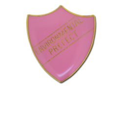 Environmental Prefect Enamelled Shield Badge 21