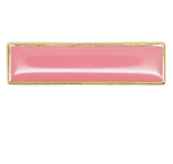 Plain School Squared Edge Bar Badge 17