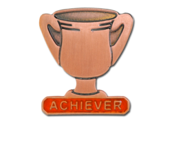 Achiever Trophies - Bronze Trophy Badge 22
