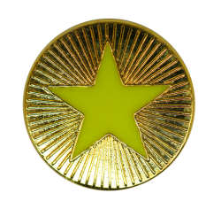Neon Enamelled Plain Star Round Badge 8