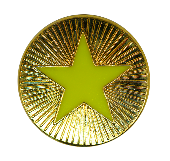 Neon Enamelled Plain Star Round Badge 4
