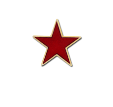 Small Enamelled Star Badge