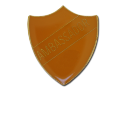 Ambassador Enamelled Shield Badge 25