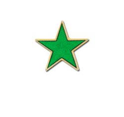 Small Enamelled Star Badge 8