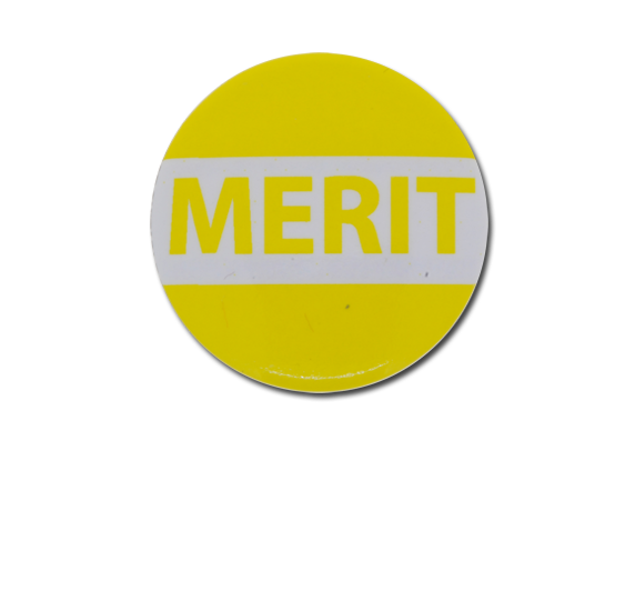 Merit Plastic Button Badge 2