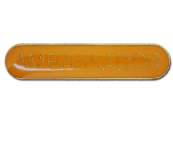 Ambassador Rounded Edge Bar Badge 25