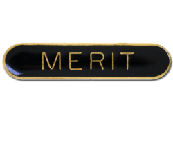 Merit Rounded Edge Bar Badge 24