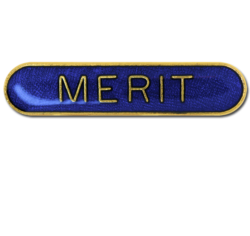 Merit Rounded Edge Bar Badge 17
