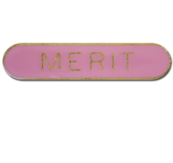 Merit Rounded Edge Bar Badge 21