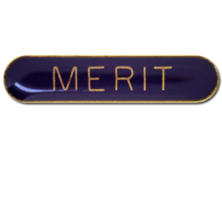 Merit Rounded Edge Bar Badge 19