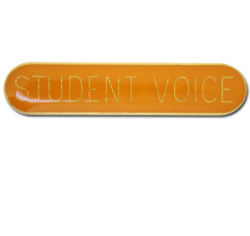 Student Voice Rounded Edge Bar Badge 25