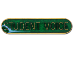 Student Voice Rounded Edge Bar Badge 18