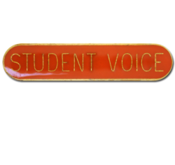 Student Voice Rounded Edge Bar Badge 22