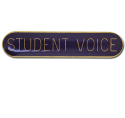 Student Voice Rounded Edge Bar Badge 19