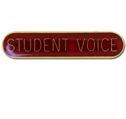 Student Voice Rounded Edge Bar Badge 15