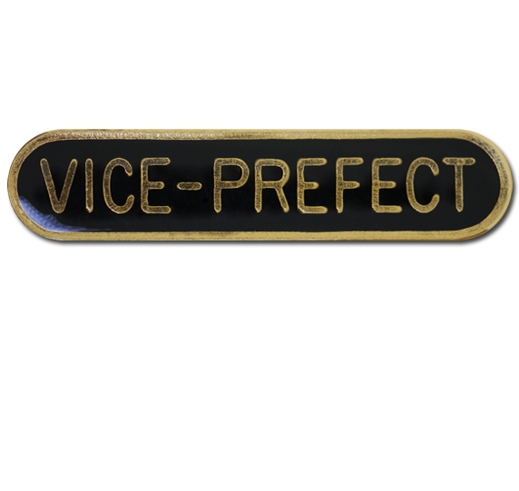 Vice-prefect Rounded Edge Bar Badge 10