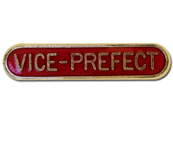 Vice-prefect Rounded Edge Bar Badge 1