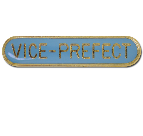 Vice-prefect Rounded Edge Bar Badge 9