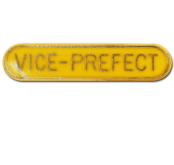 Vice-prefect Rounded Edge Bar Badge 2