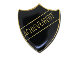 Achievement Enamelled Shield Badge 24