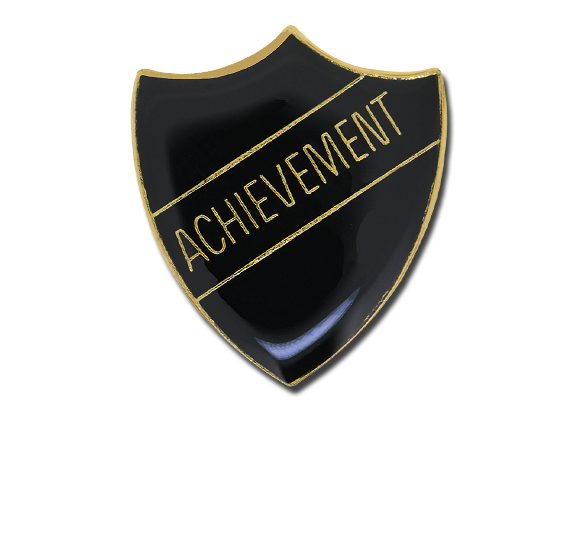 Achievement Enamelled Shield Badge 10
