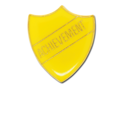 Achievement Enamelled Shield Badge 16