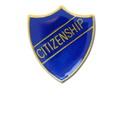 Citizenship Enamelled Shield Badge 17