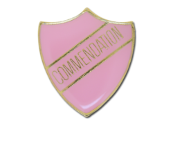 Commendation Enamelled Shield Badge 21