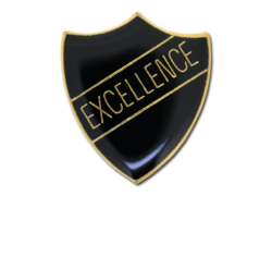 Excellence Enamelled Shield Badge 24