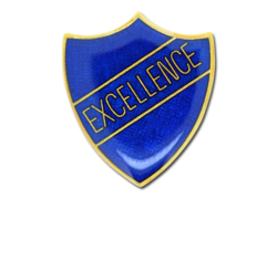 Excellence Enamelled Shield Badge 17