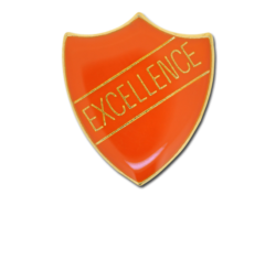 Excellence Enamelled Shield Badge 22