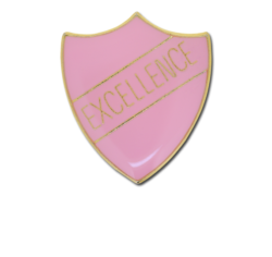 Excellence Enamelled Shield Badge 21