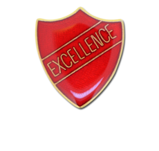 Excellence Enamelled Shield Badge