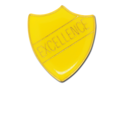 Excellence Enamelled Shield Badge 16