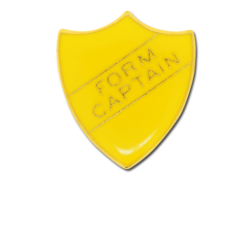 Form Captain Enamelled Shield Badge 16