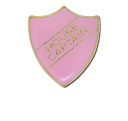 House Captain Enamelled Shield Badge 21