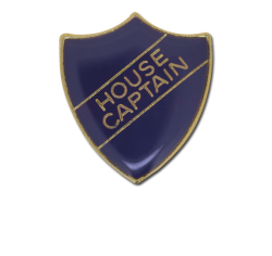 House Captain Enamelled Shield Badge 19