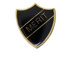 Merit Enamelled Shield Badge 24